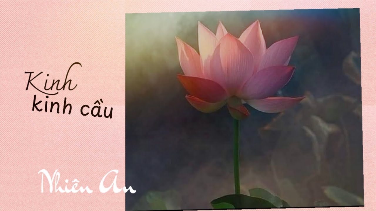Kinh, kinh cầu | Nhạc và lời: Nhiên An | Hoà âm và hát: Suno