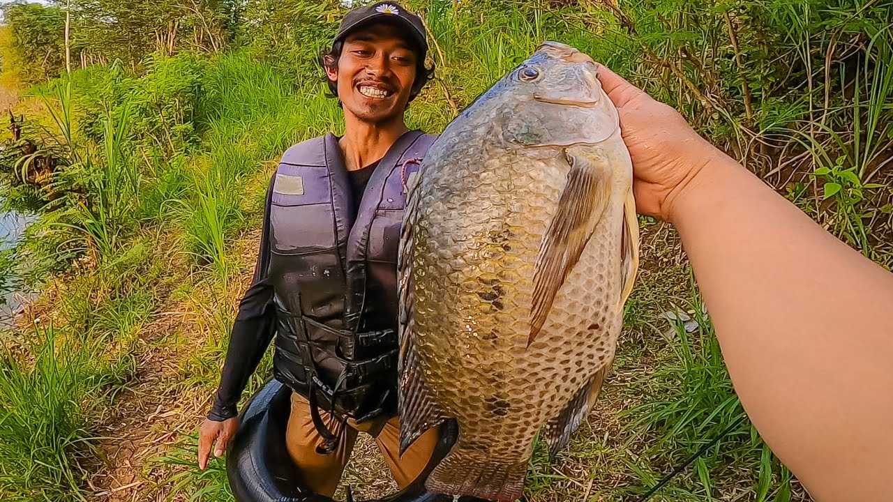 MIMPI APA SEMALAM‼️ MANCING IKAN NILA DAPAT BABON DI SPOT YANG BARU KAMI DATANGI