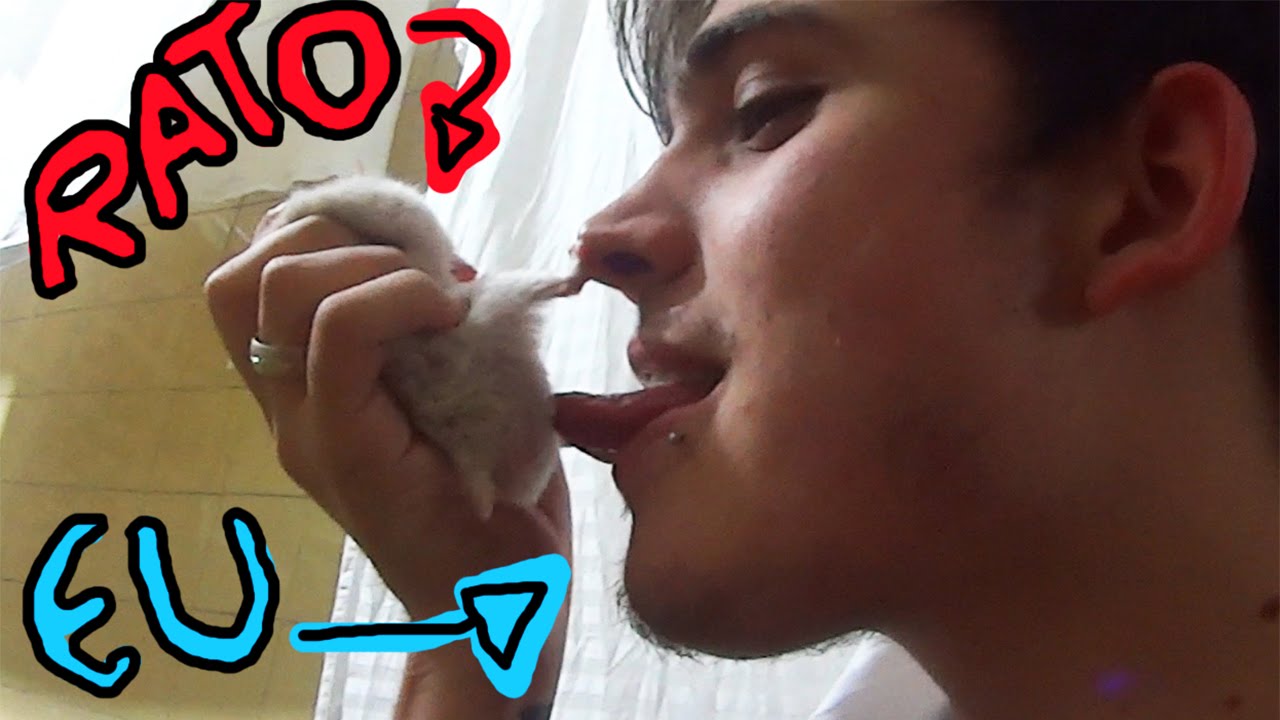 QUEM PERDE SOFRE! LAMBI as BOLAS do meu RATO