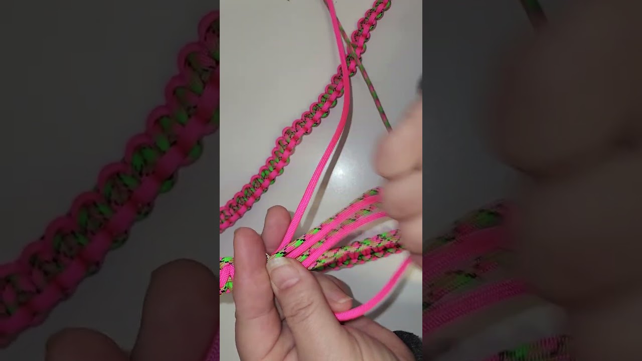 Slip leashes and Slip ups.