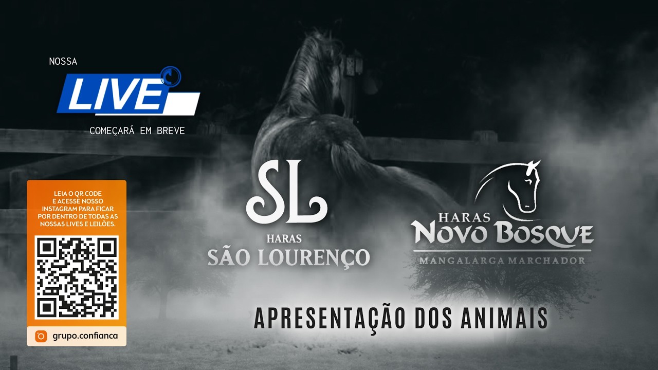 Apresentação dos Animais - Leilão São Lourenço e Novo Bosque