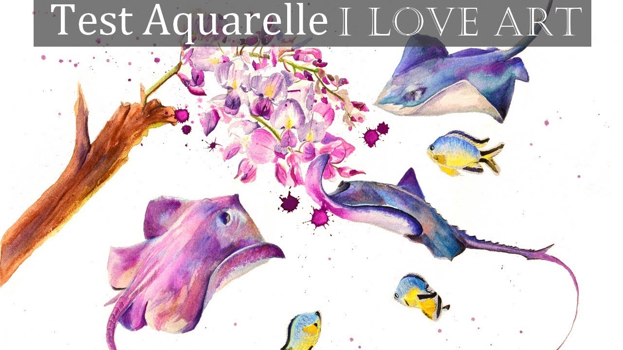 Aquarelle 