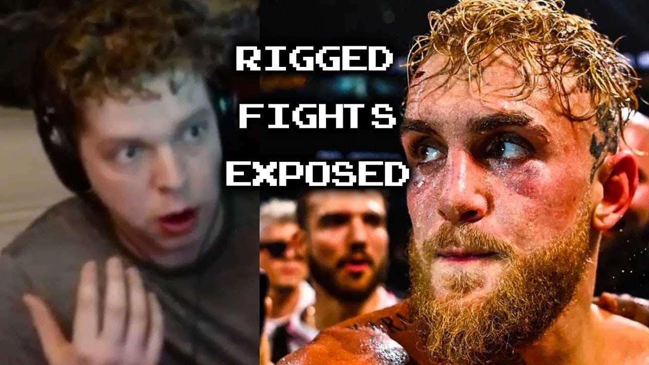 Steve Challenges JAKE PAUL to BOX  (Wafflepwn Livestream Clips)