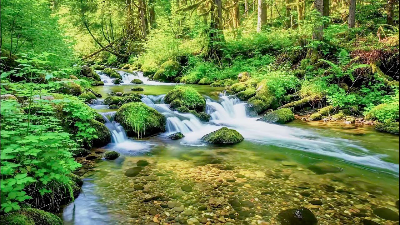 Calming River Sound for Deep Sleep | Natural Healing Ambience for Health and Peace