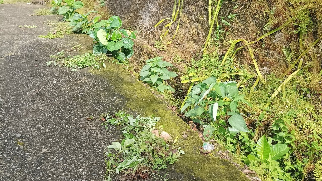 Gotong royong di pagi hari 