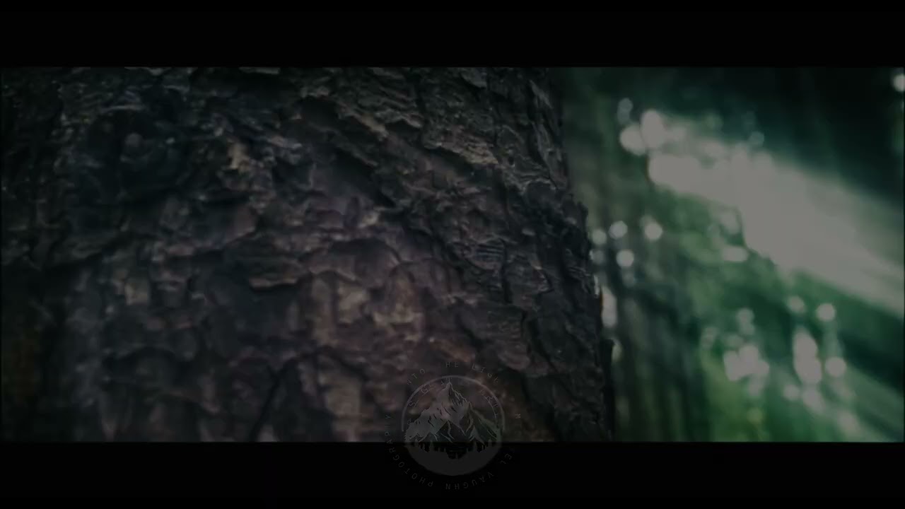EQUIN&Oslash;X &ndash; 'Epitaph' | Mesmerizing Slow-Motion Nature & Light Sync with Haunting Soundtrack