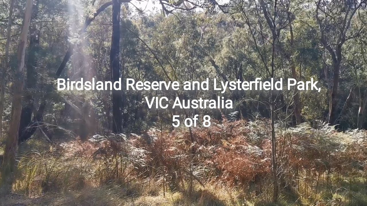 Trail Run n Scenic Stop 5, Birdsland n Lysterfield Park #reserve #listen #observe @SPsiuping