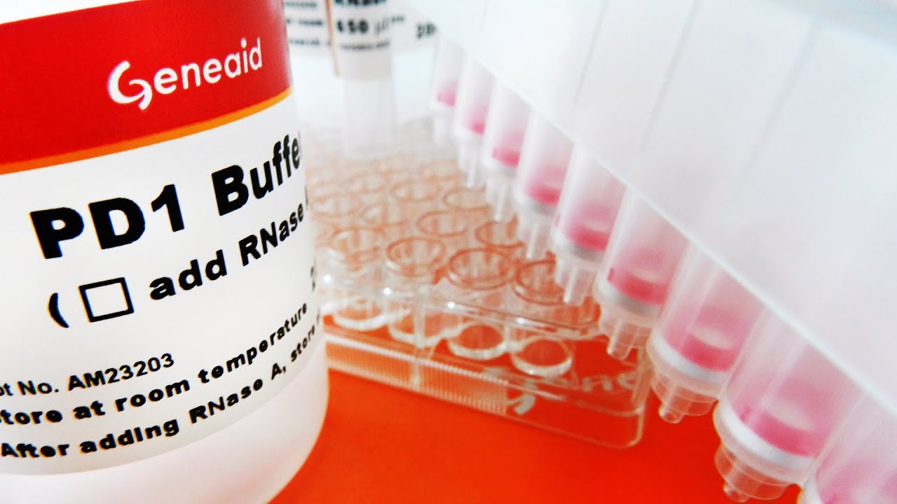 96 Well Plasmid DNA Extraction Kit Video