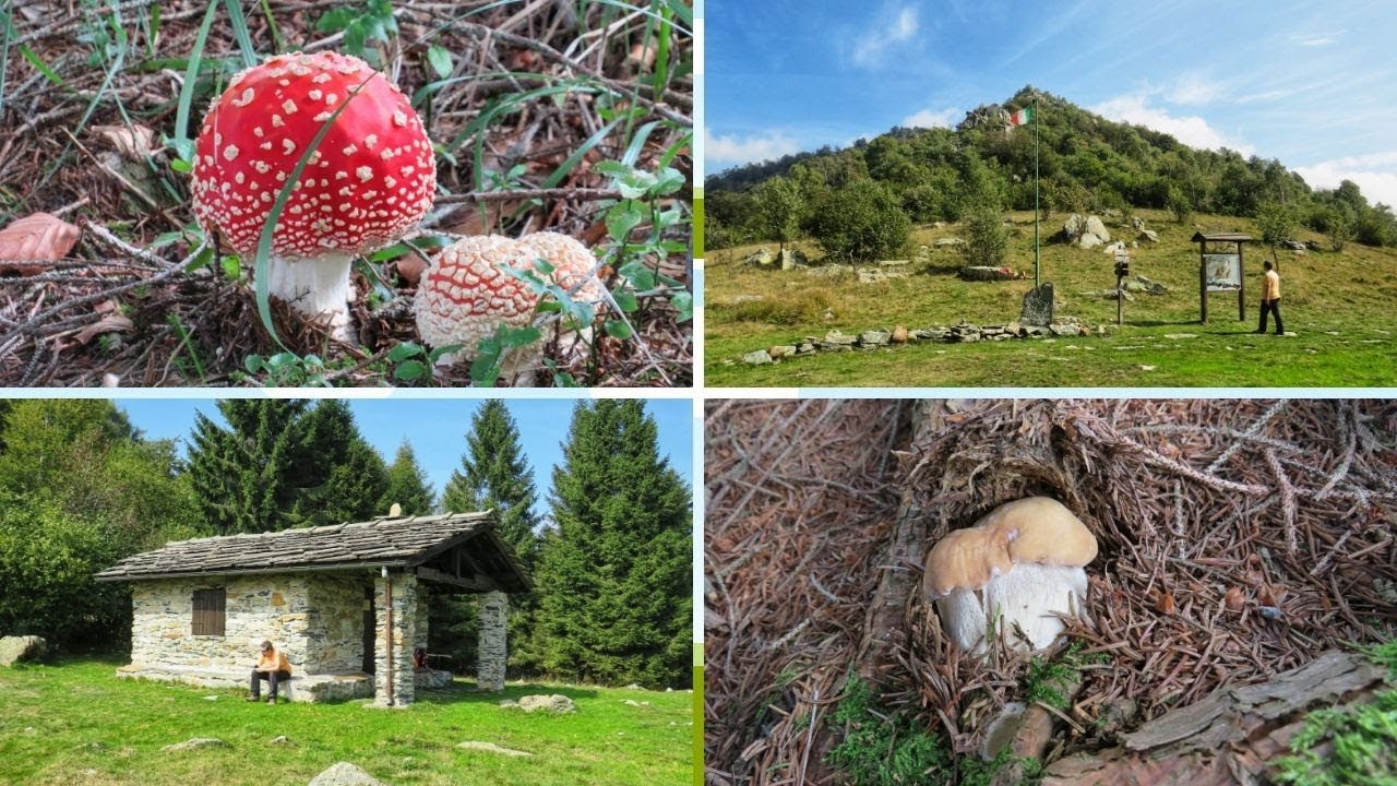Col del Lys – Colle Portia [Let’s go hiking!]