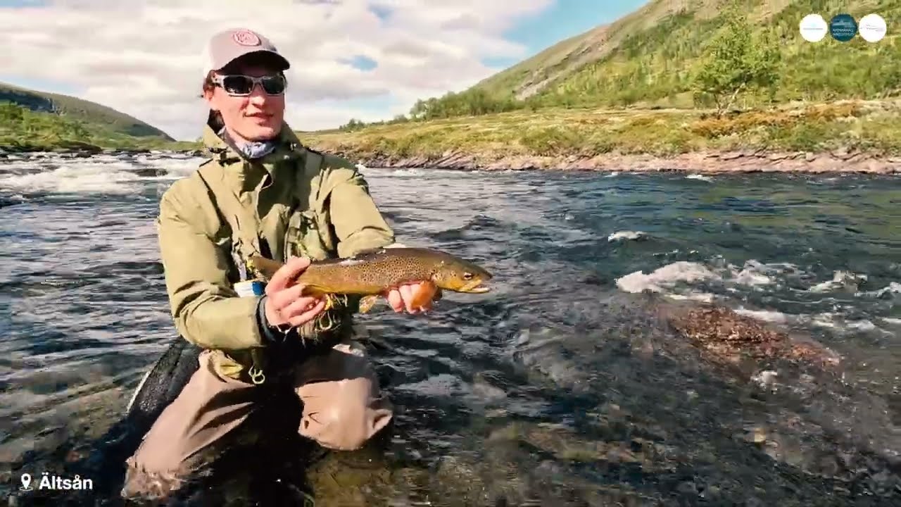 Flyfishing Ammarnäs
