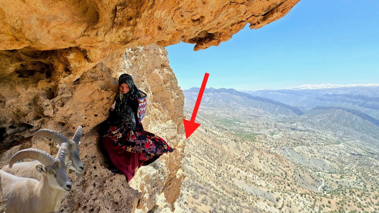 🐑🌿 An amazing rescue in the mountains: 🏔️🐑 From picking herbs to saving a little lamb 🤍🌱