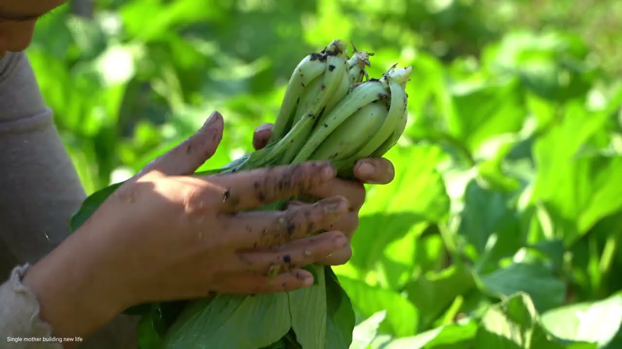 25-year-old single mother: Harvesting vegetables to sell - Cooking a cozy meal with her son