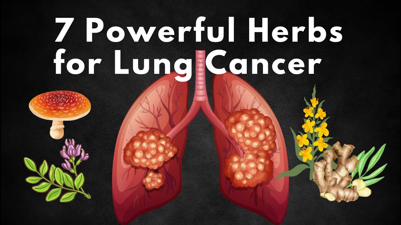 7 Powerful Herbs for Lung Cancer Support & Healing