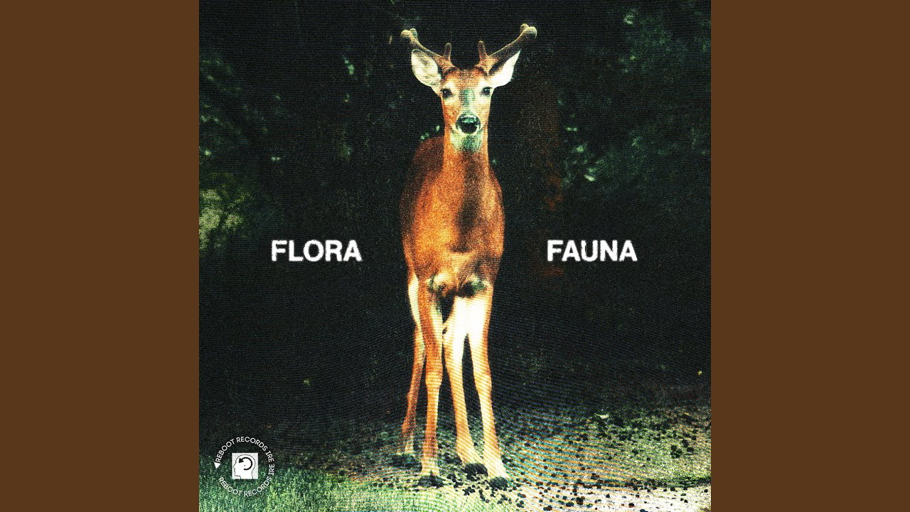 Fauna