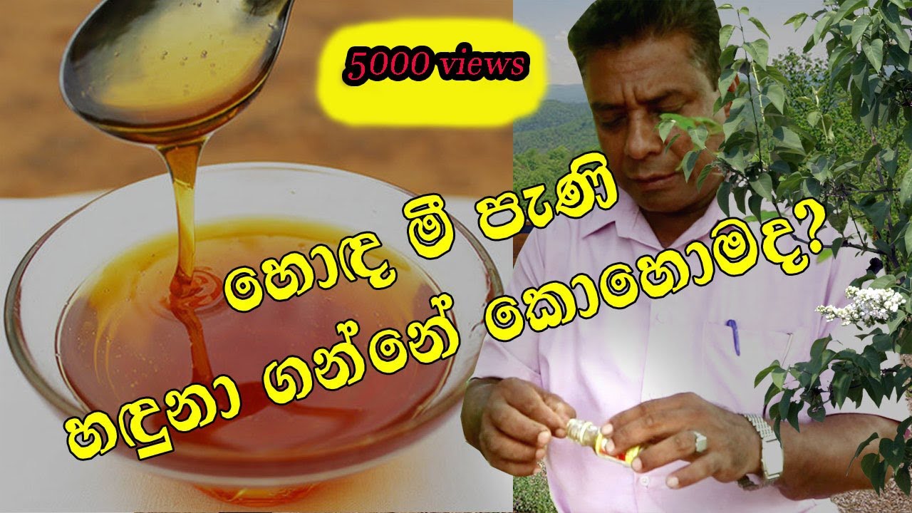 හොඳ මී පැණි කොහොමද 😍😘😃 -How can identify the best Honey? - Jeewa