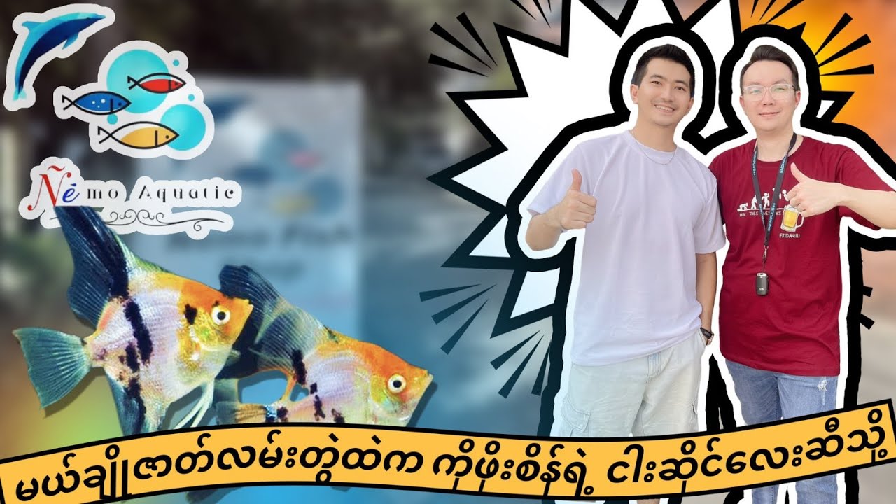 EP45: မယ်ချိုဇာတ်လမ်းတွဲထဲက ကိုဖိုးစိန်ရဲ့ ငါးဆိုင်လေးဆီသို့ အလည်တစ်ခေါက် [Nemo Fish Shop]