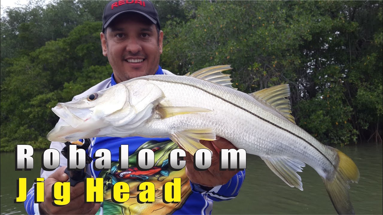 PESCARIA DE ROBALO COM JIG HEAD NA BAHIA #UDERLAN