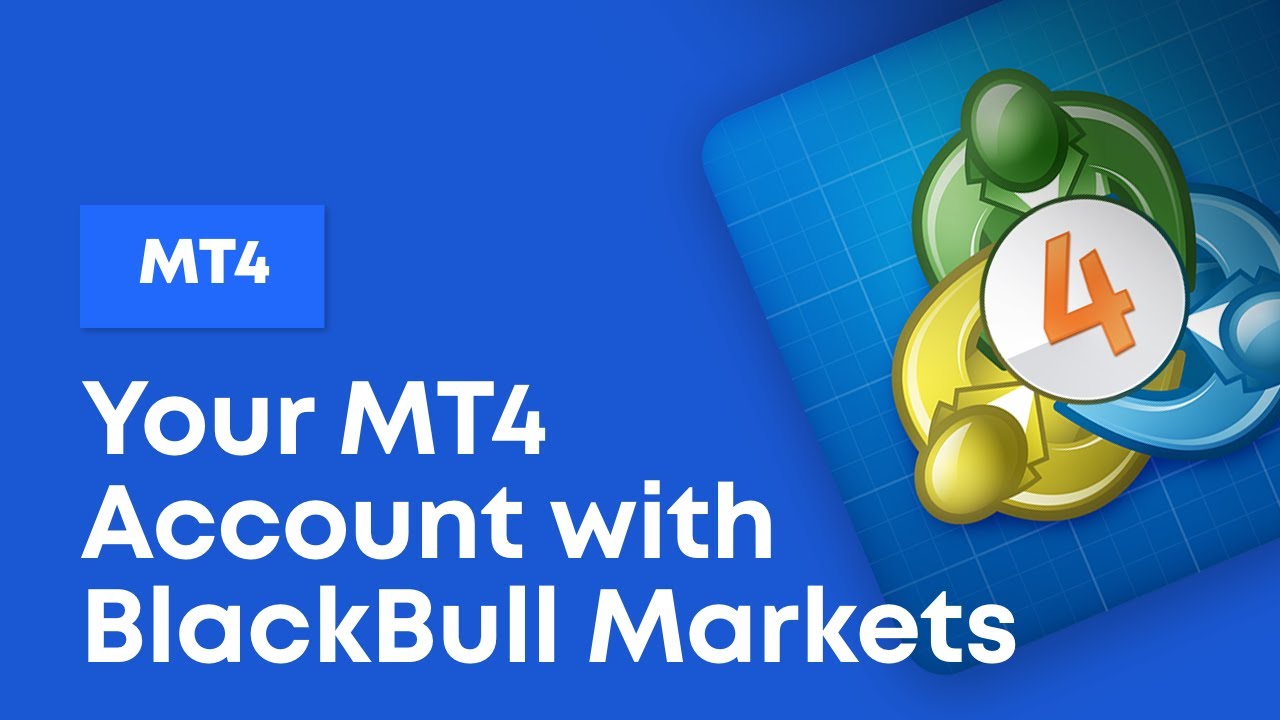 1.0 Your MT4 Account with BlackBull Markets