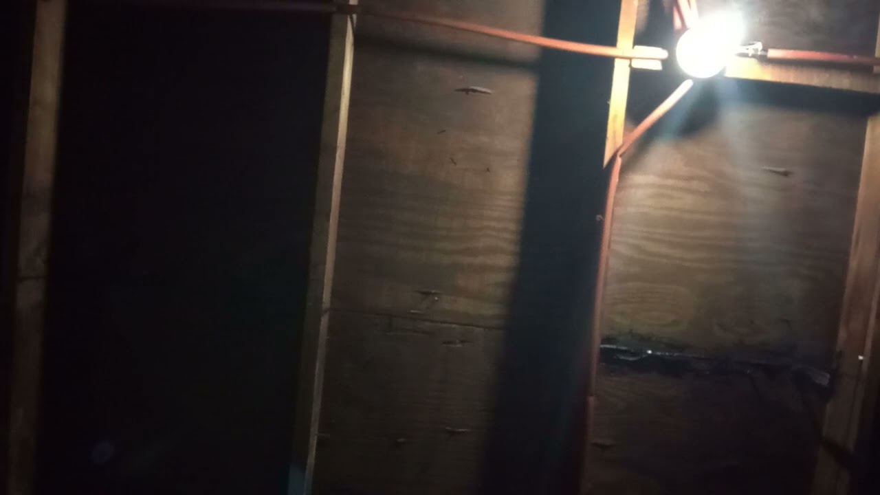 En el agua clara 