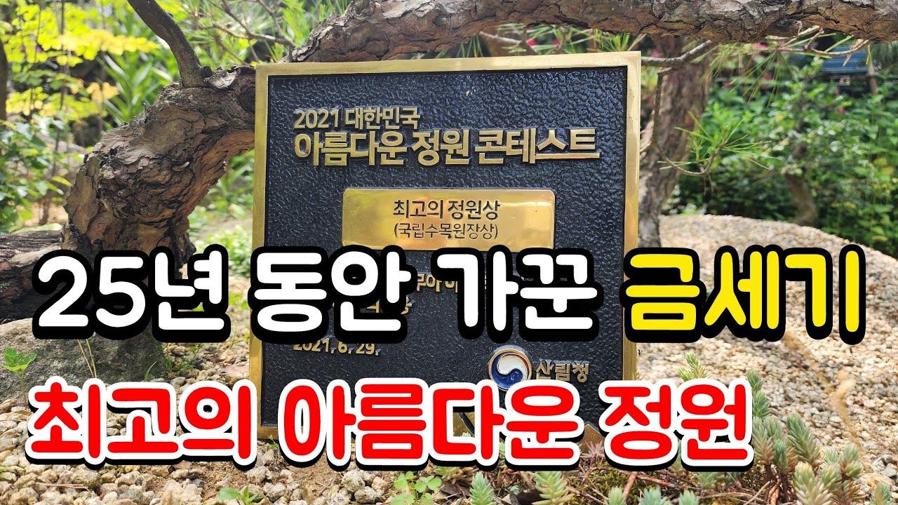 25년 동안 가꾼 금세기 최고의 아름다운 정원 #정원가꾸기 #카페 #여행