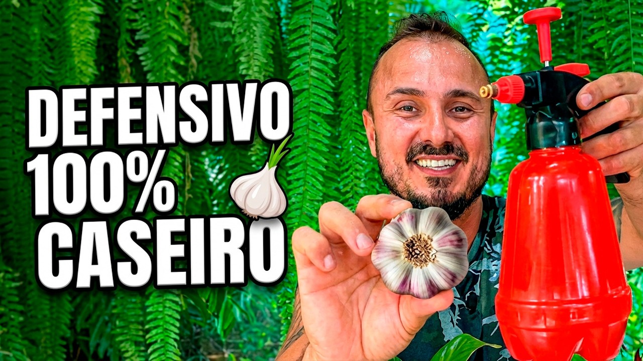 Testei ALHO nas PLANTAS e me surpreendi | Descubra o jeito certo