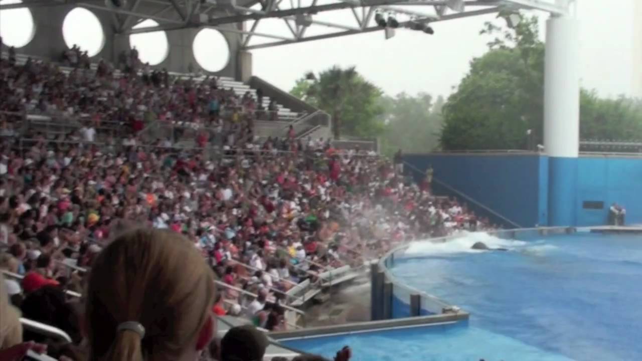 *Shamu Tribute*