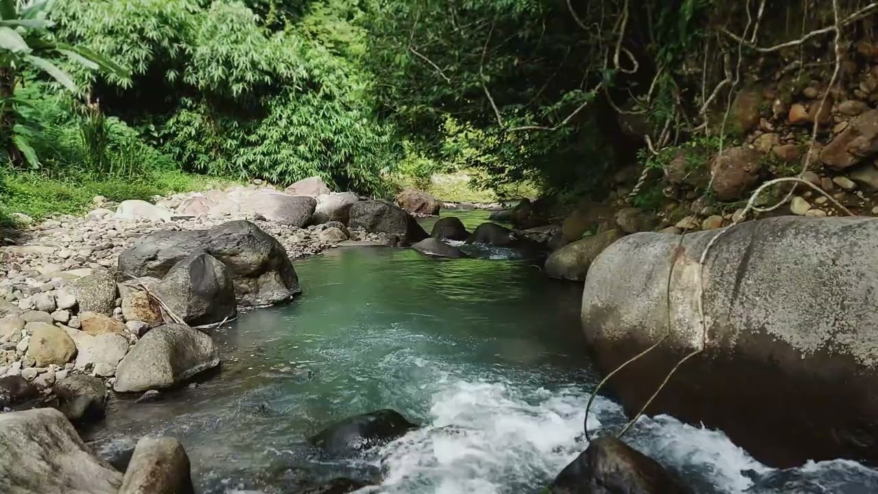 Discover Peaceful Stream Ambience with Calming Water Sounds For Productive Study Hours