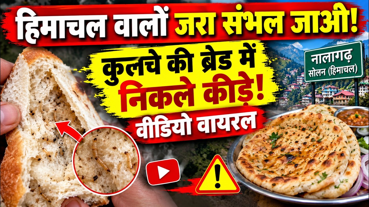 हिमाचल के सोलन से आया हैरान करने वाला मामला || Solan News || Himachal Breaking News ||