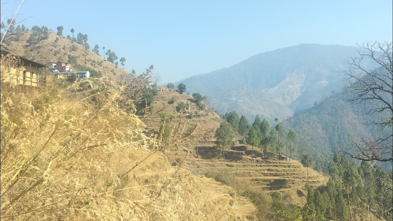 आज सुबह फिर बिरंगन गांव से लाइव आया हूँ।