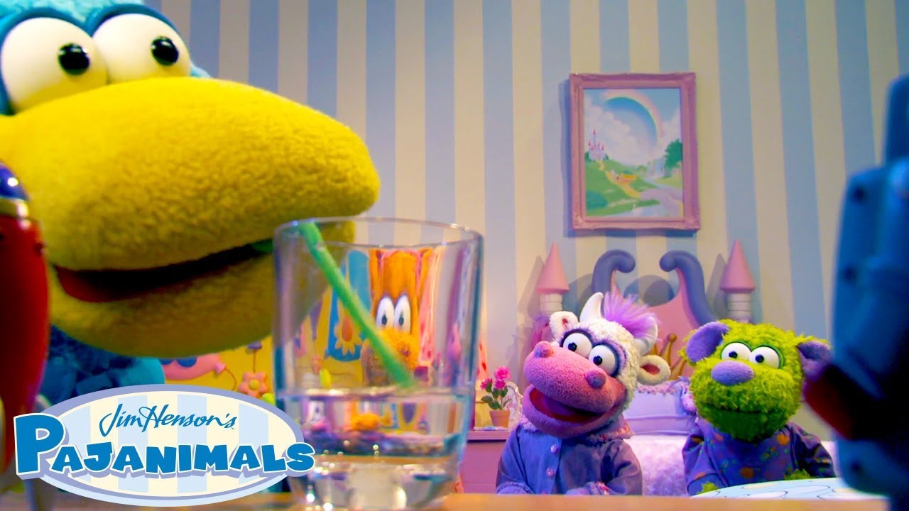 Squacky Has an Accident! | Pajanimals