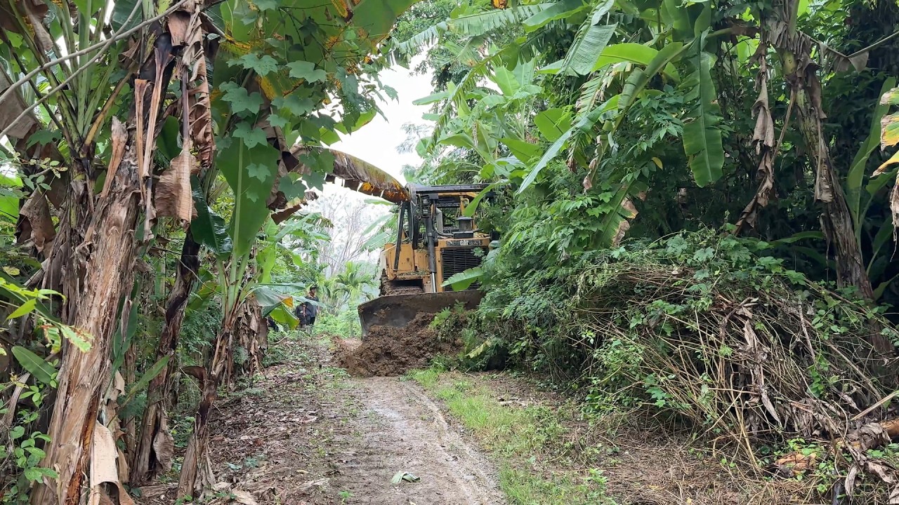 Efficiency of the D6R XL Bulldozer in Clearing Plantation Roads