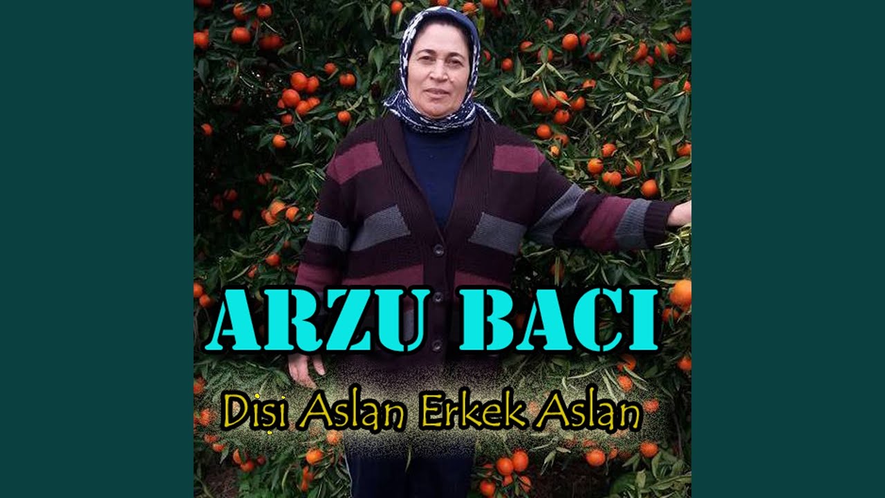 Dişi Aslan Erkek Aslan