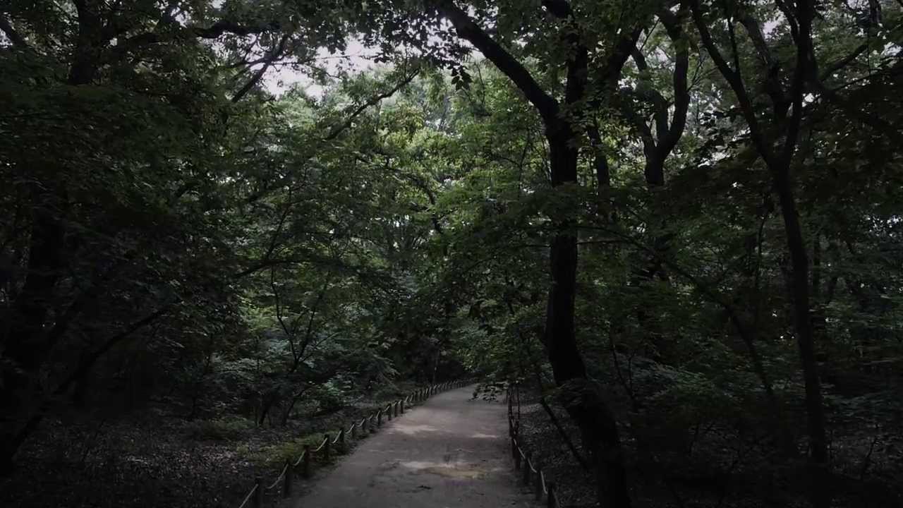 上林 - remembrance