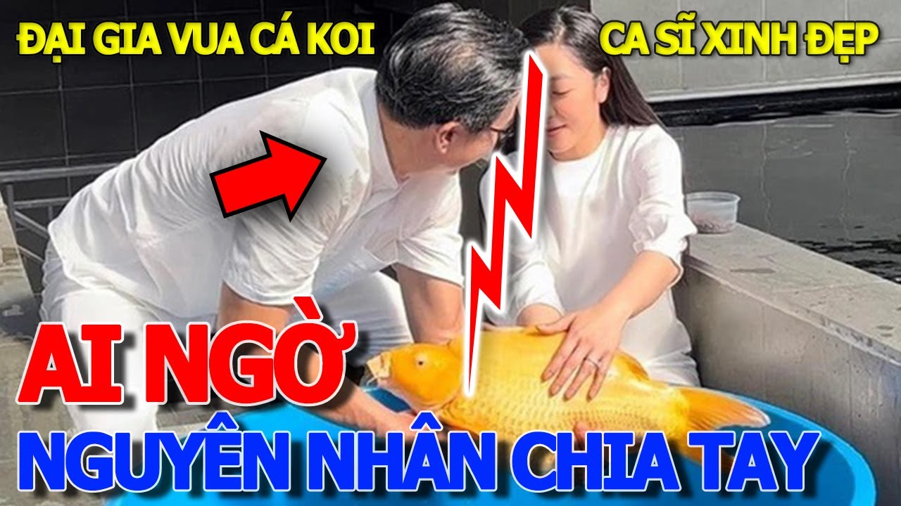 Bất ngờ HÉ LỘ NGUYÊN NHÂN tan vỡ ĐẠI GIA VUA CÁ KOI & CA SĨ HÀ THANH XUÂN - SÂN BAY TÂN SƠN NHẤT