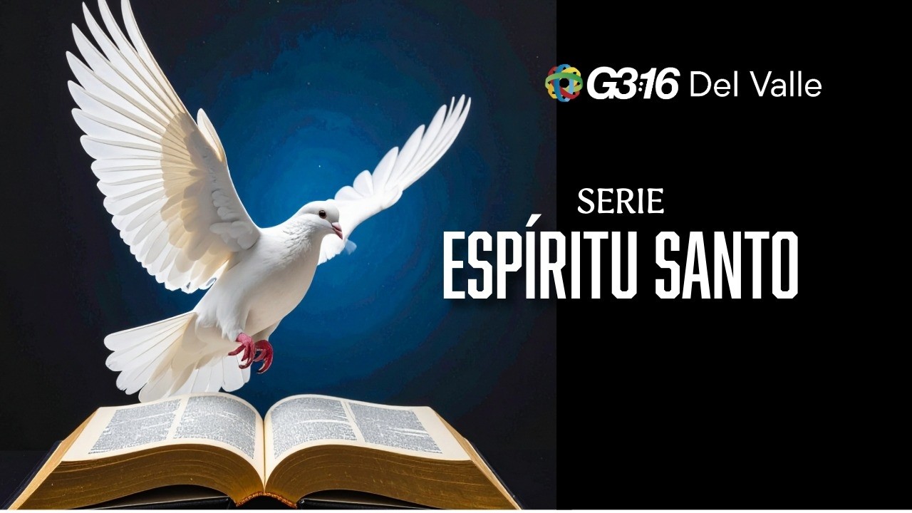 El fruto del Esp&iacute;ritu: Una vida Maravillosa.