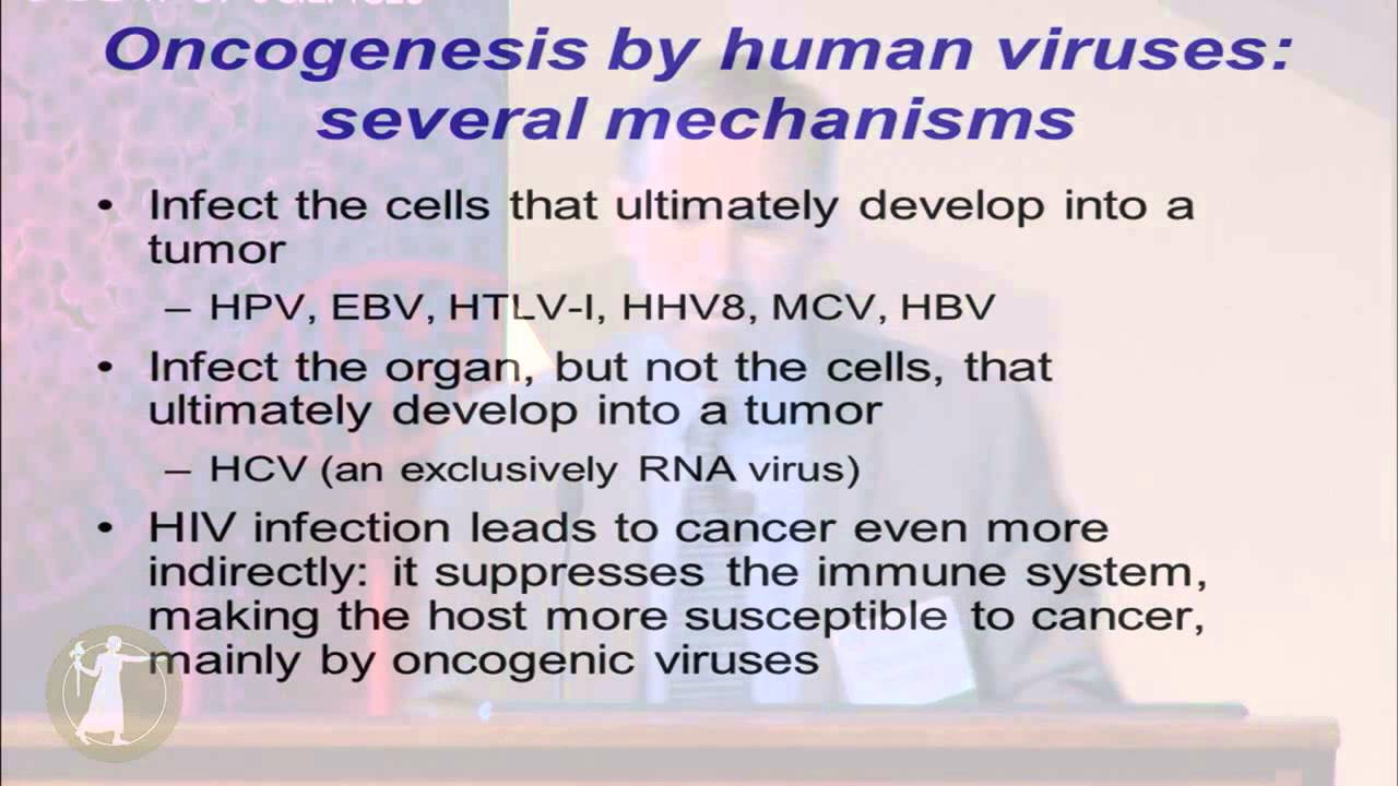 Symposium - Douglas Lowy: Oncogenic Viruses: Past, Present, and Future