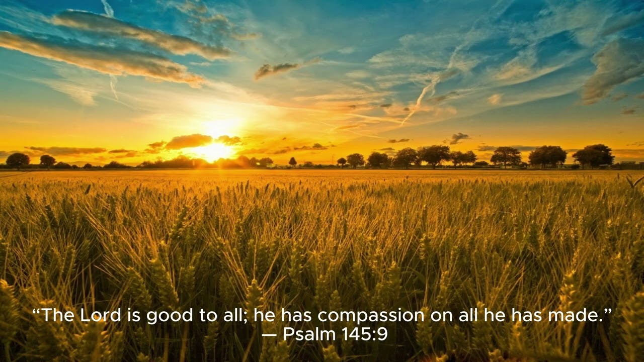 The Lord Is Good to All Psalm 145:9 | Peaceful Piano Worship 10 Minutes