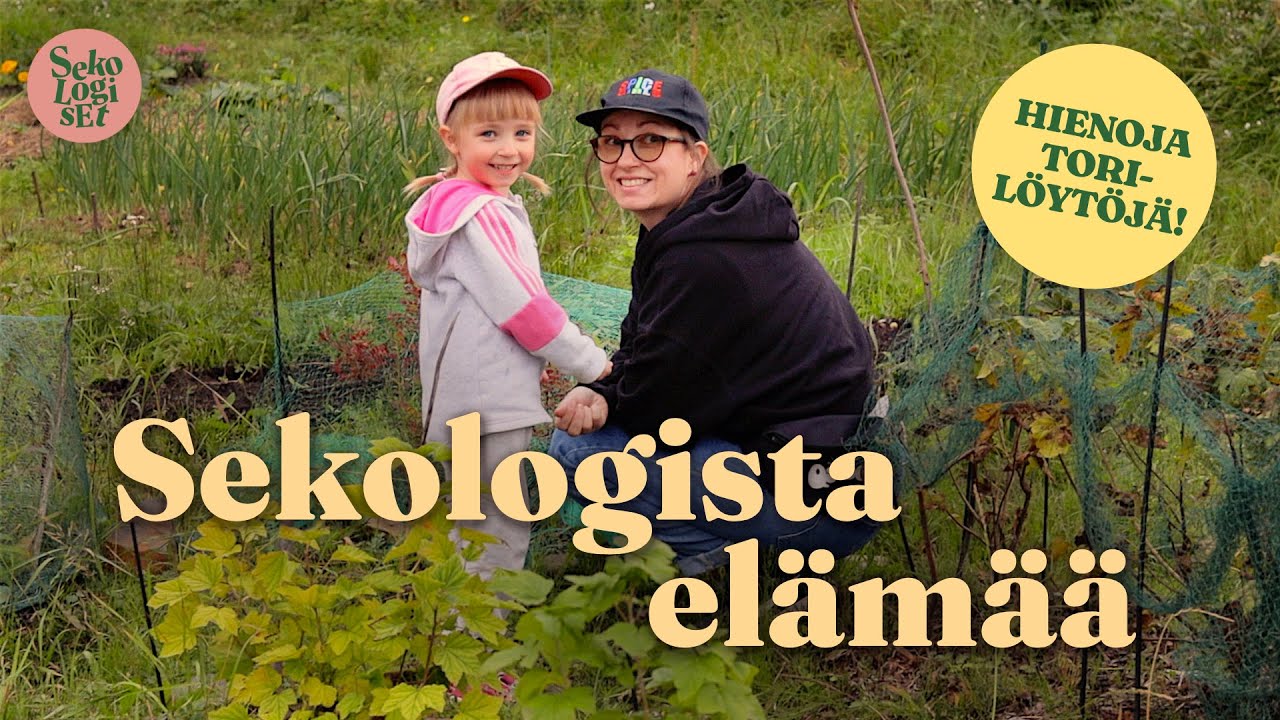 Miltä näyttää sekologinen elämä?