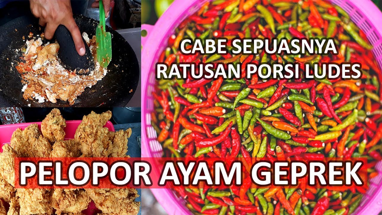 PELOPOR AYAM GEPREK!!! CABE SEPUASNYA!!! SEHARI LUDES RATUSAN PORSI??? Ayam Geprek Bu Rum Jogja