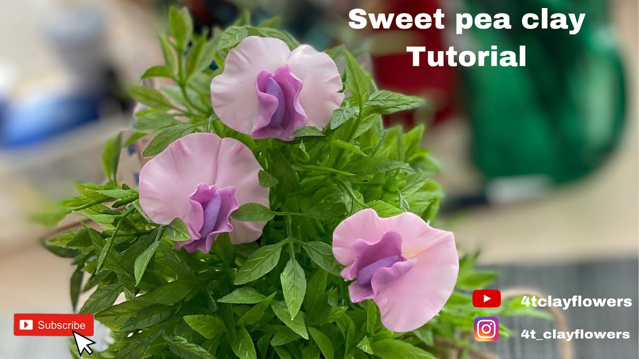 How to make a sweet pea by clay [Hướng dẫn làm hoa đậu biếc bằng đất sét]