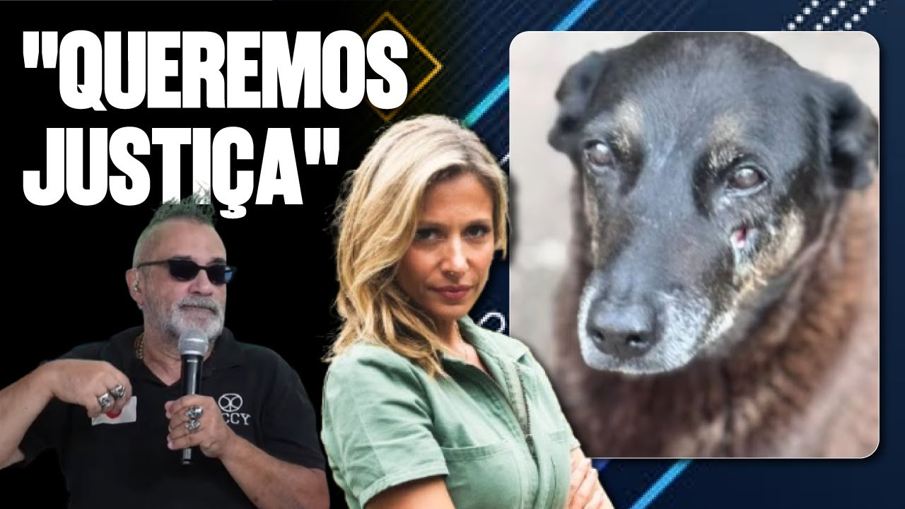 HISTÓRIA COMPLETA DO CÃO ORELHA: ADOLESCENTES TERIAM VIAJADO PRA DISNEY