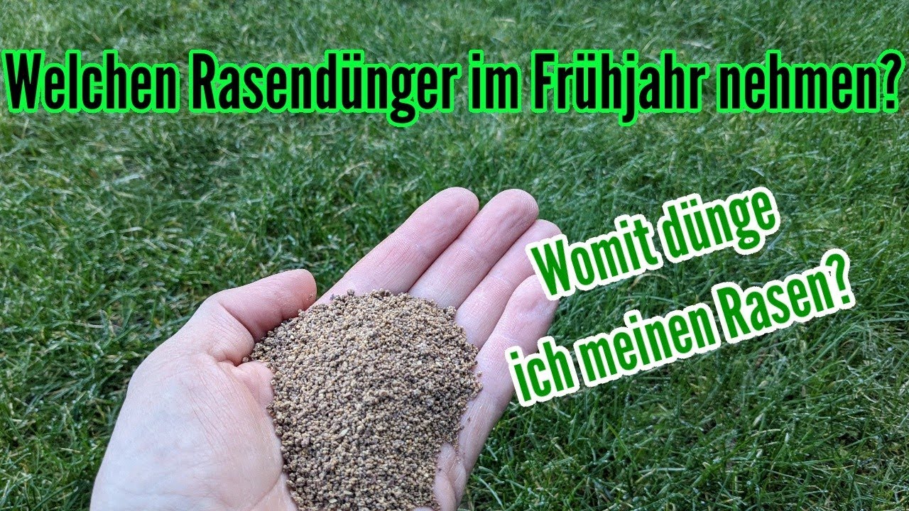 Welchen Rasend&uuml;nger verwenden im Fr&uuml;hjahr? Womit Rasen d&uuml;ngen im Fr&uuml;hling? Rasen nach dem Winter