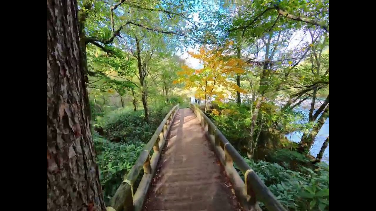 霞沢橋