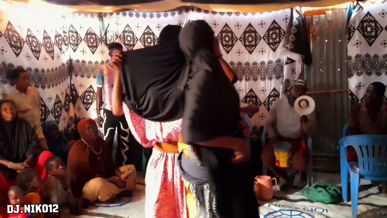 Niko macan badan 