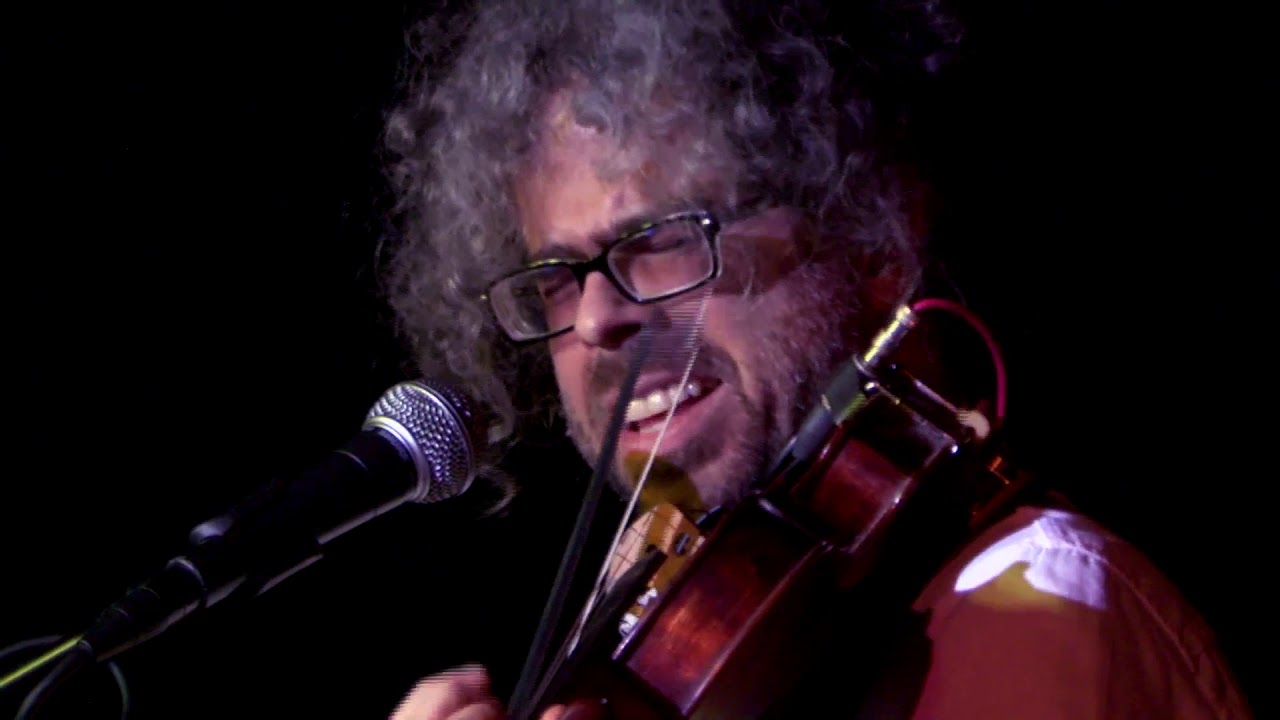 Stefano Zeni - Free Time In Central Park Live