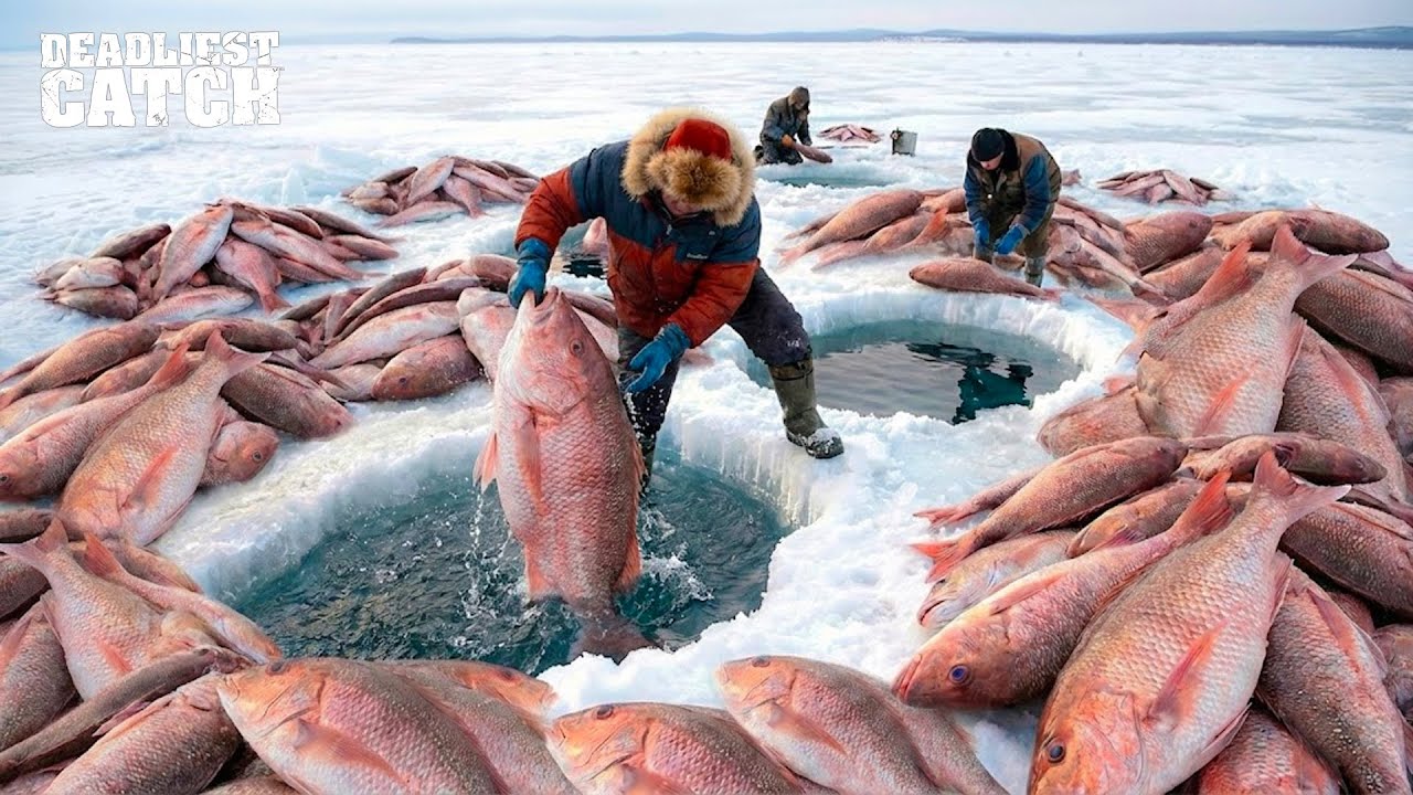 Fishing Documentary | $1 Million of Red Snapper Pulled Up in Just One Voyage in the Gulf of Mexico