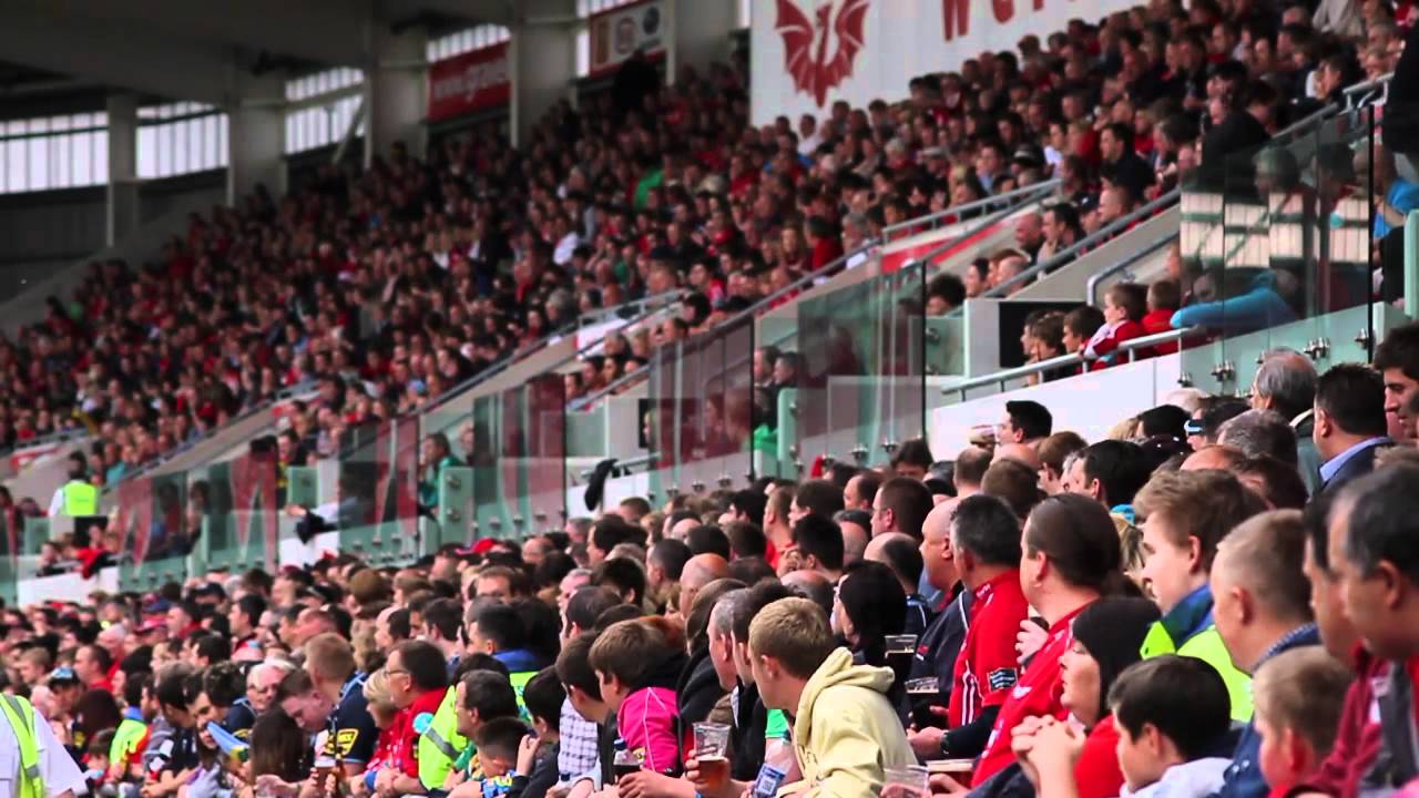 The Parc y Scarlets experience