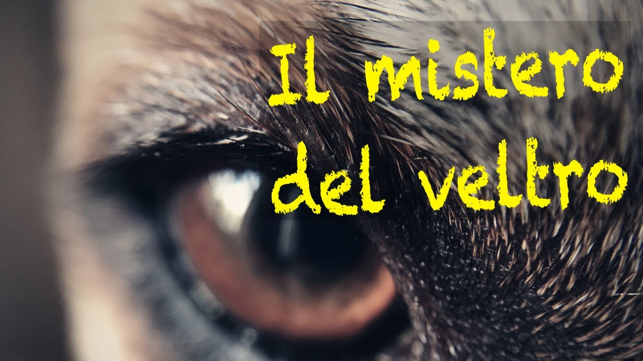 La profezia e il mistero del Veltro, Inferno, Canto I