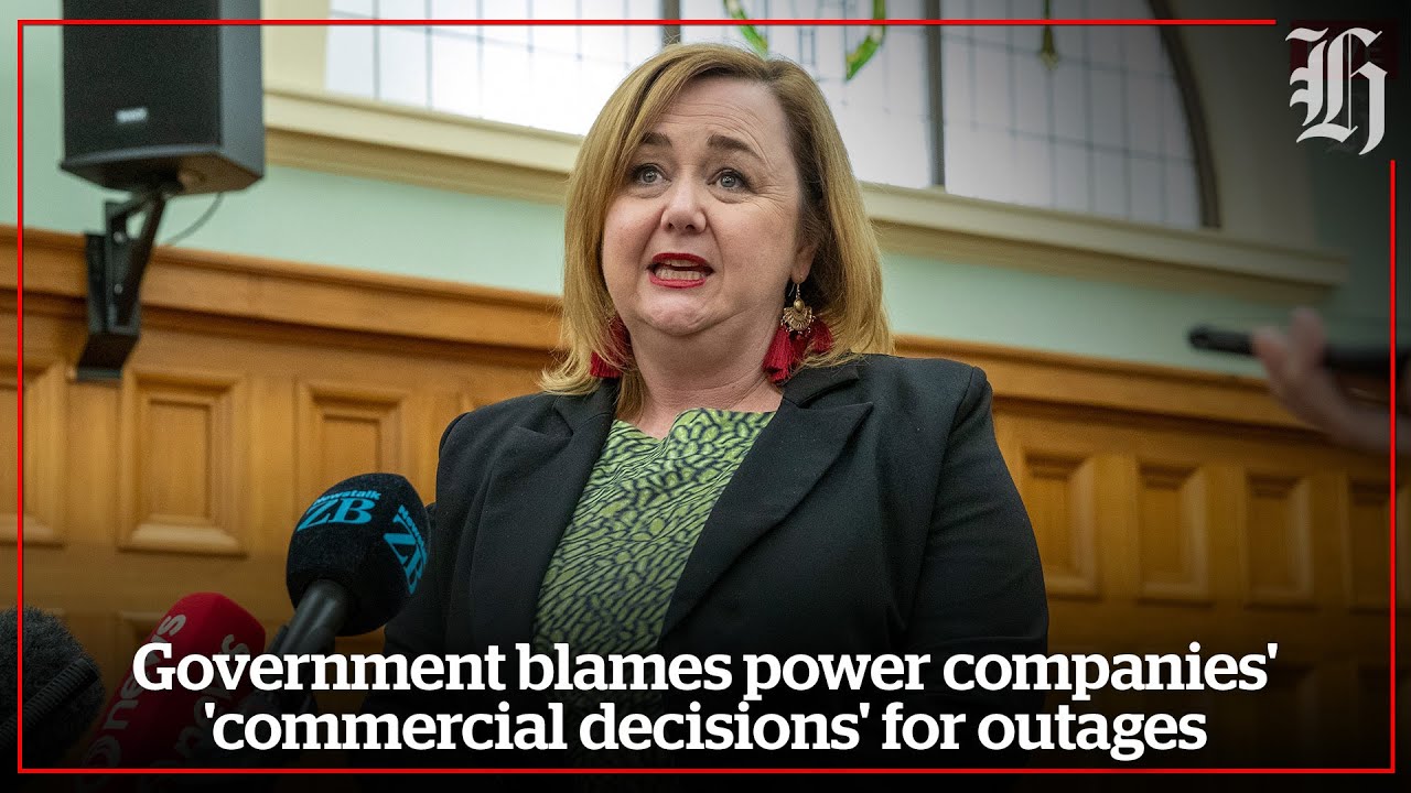 Government blames power companies' 'commercial decisions' for outages