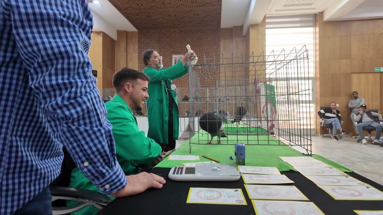 Concurso del Buchón Gaditano de Rabat ,Marruecos. 2025.